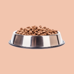 Category image: Dog Food